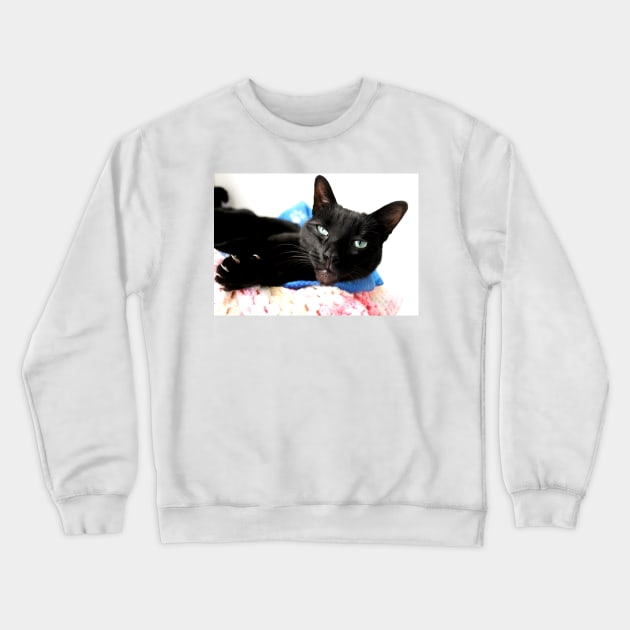 Izzy Crewneck Sweatshirt by Ladymoose